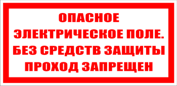 S13 опасное электрическое поле. без средств защиты проход запрещен (пластик, 200х100 мм) - Знаки безопасности - Знаки по электробезопасности - Магазин охраны труда ohranatruda-shop.ru